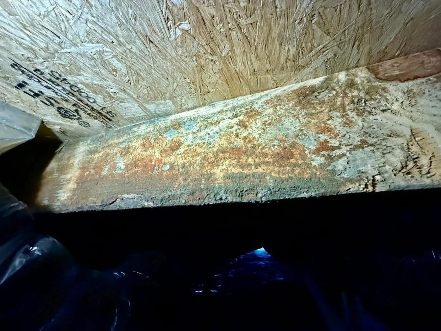 Crawl space showing mold damage before remediation