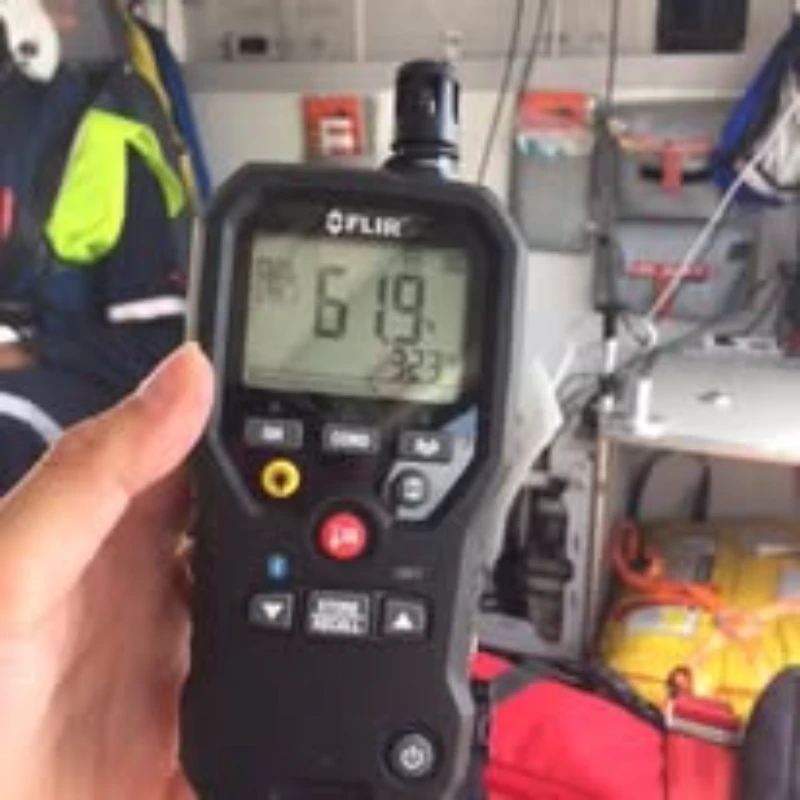 Mold inspection and moisture assessment