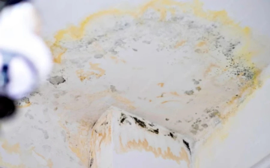 Mold remediation in a Louisville, KY home