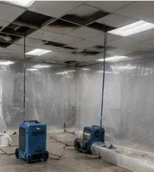 Commercial mold remediation in a Clarksville business