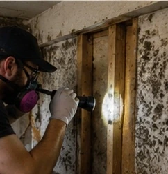 Mold inspection in a Clarksville home