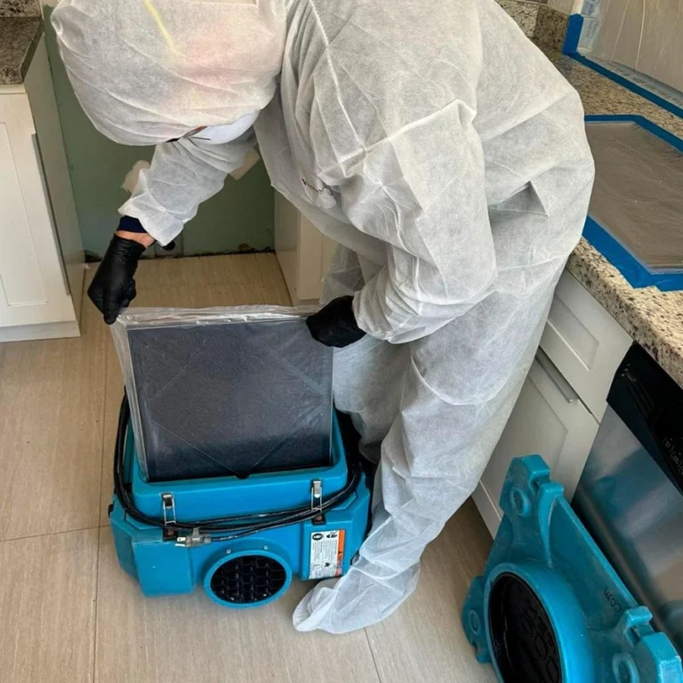 Technician performing a step-by-step mold remediation process in a Louisville home