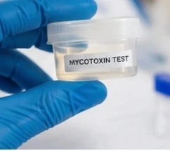 Mycotoxin testing equipment in a Clarksville property