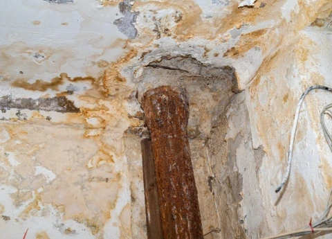 Water-damaged wall showing mold growth after prolonged moisture exposure