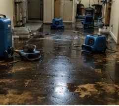 Water damage restoration in a Clarksville home